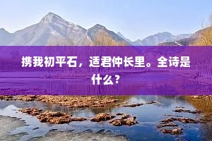 携我初平石，适君仲长里。全诗是什么？