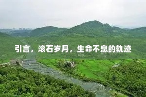 引言，滚石岁月，生命不息的轨迹