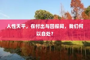 人性天平，在付出与回报间，我们何以自处？