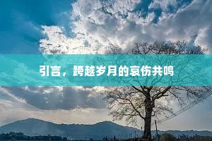 引言，跨越岁月的哀伤共鸣