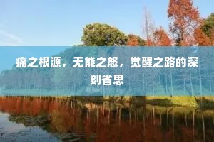 痛之根源，无能之怒，觉醒之路的深刻省思