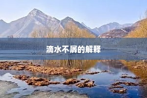 滴水不羼的解释