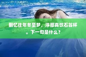 翻忆往年冬至梦，淳醪真饮石翁杯。下一句是什么？