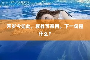 芳岁今如此，衰翁可奈何。下一句是什么？