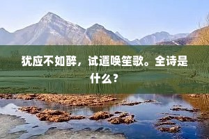 犹应不如醉，试遣唤笙歌。全诗是什么？
