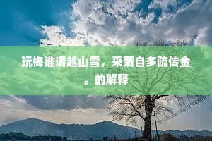 玩梅谁谓越山雪，采菊自多疏传金。的解释