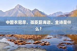 中国衣冠尽，孤臣蹈海边。全诗是什么？