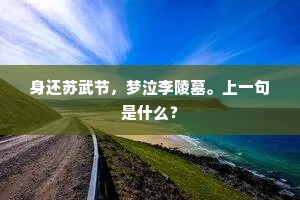 身还苏武节，梦泣李陵墓。上一句是什么？