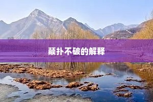 颠扑不破的解释