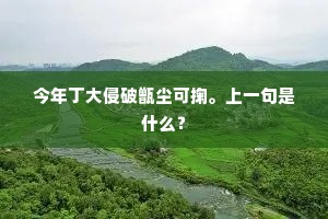 今年丁大侵破甑尘可掬。上一句是什么？