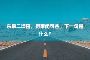 东皋二顷田，得雨尚可谷。下一句是什么？