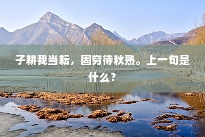 子耕我当耘，固穷待秋熟。上一句是什么？