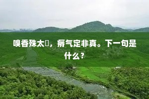 嗅香殊太觕，瘠气定非真。下一句是什么？