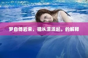梦自傅岩来，猎从渭滨起。的解释
