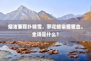 烟渚蒹葭扑晴雪，蓼花暗染猩猩血。全诗是什么？