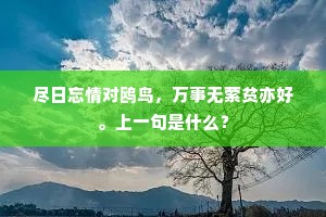 尽日忘情对鸥鸟，万事无萦贫亦好。上一句是什么？
