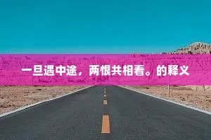 一旦遇中途，两恨共相看。的释义