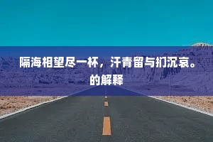 隔海相望尽一杯,汗青留与扪沉哀。的解释 隔海相望尽一杯,汗青留与扪沉哀。的解释