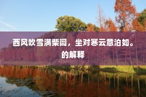 西风吹雪满柴闾,坐对寒云意泊如。的解释 西风吹雪满柴闾,坐对寒云意泊如。的解释