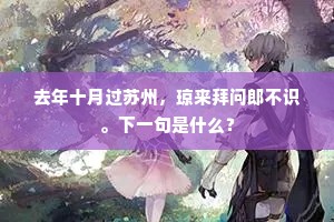 去年十月过苏州,琼来拜问郎不识。下一句是什么? 去年十月过苏州,琼来拜问郎不识。下一句是什么?