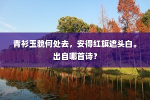 青衫玉貌何处去，安得红旗遮头白。出自哪首诗？