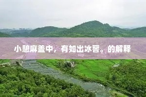 小憩麻盖中，有如出冰窖。的解释