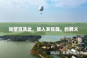 始望岂及此，故人发在哉。的释义