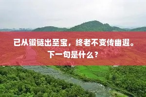已从锻链出至宝，终老不变传幽遐。下一句是什么？