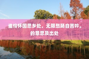 谁怜怀国思乡处，无限愁肠自苦吟。的意思及出处