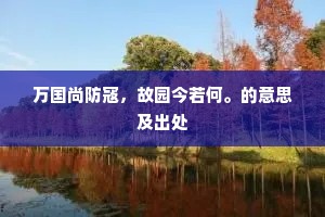 万国尚防寇，故园今若何。的意思及出处
