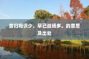昔归相识少,早已战场多。的意思及出处 昔归相识少,早已战场多。的意思及出处