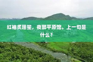 红袖炙瑶笙，夜醉平原馆。上一句是什么？