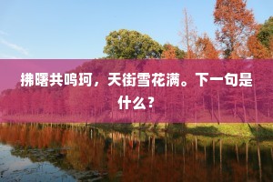 拂曙共鸣珂，天街雪花满。下一句是什么？