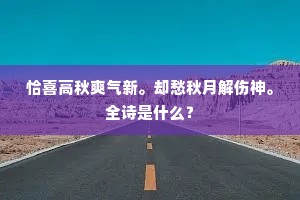恰喜高秋爽气新。却愁秋月解伤神。全诗是什么？