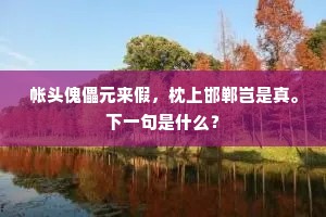 帐头傀儡元来假，枕上邯郸岂是真。下一句是什么？