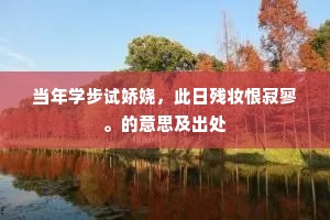 当年学步试娇娆，此日残妆恨寂寥。的意思及出处