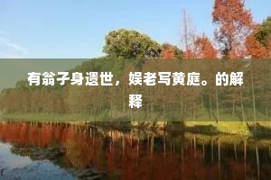 有翁孑身遗世，娱老写黄庭。的解释