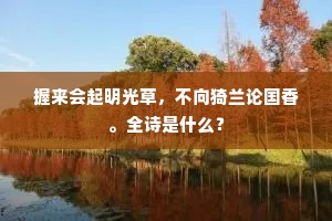 握来会起明光草，不向猗兰论国香。全诗是什么？