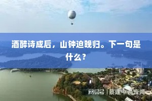 酒醉诗成后，山钟迫晚归。下一句是什么？