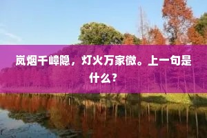 岚烟千嶂隐，灯火万家微。上一句是什么？