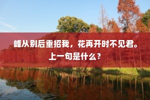 峰从别后重招我，花再开时不见君。上一句是什么？