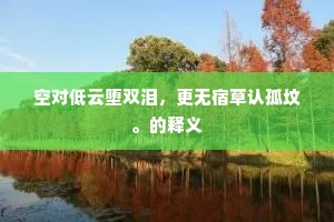 空对低云堕双泪，更无宿草认孤坟。的释义