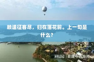 赖逢征客尽，归在落花前。上一句是什么？