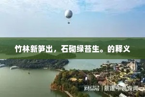 竹林新笋出，石砌绿苔生。的释义