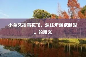 小童又报雪花飞，深炷炉烟欲起时。的释义