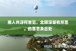 南人共讶何曾见，北顾深颦有所思。的意思及出处