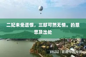 二妃未免遗恨，三郎可煞无情。的意思及出处