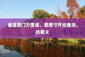 谁道君门万里遥，君恩寸尺也难消。的释义