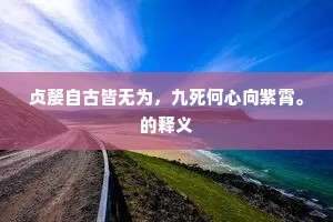 贞嫠自古皆无为，九死何心向紫霄。的释义