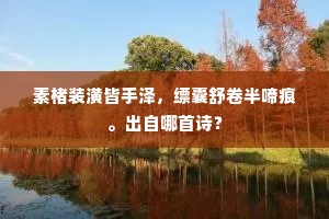 素楮装潢皆手泽，缥囊舒卷半啼痕。出自哪首诗？
